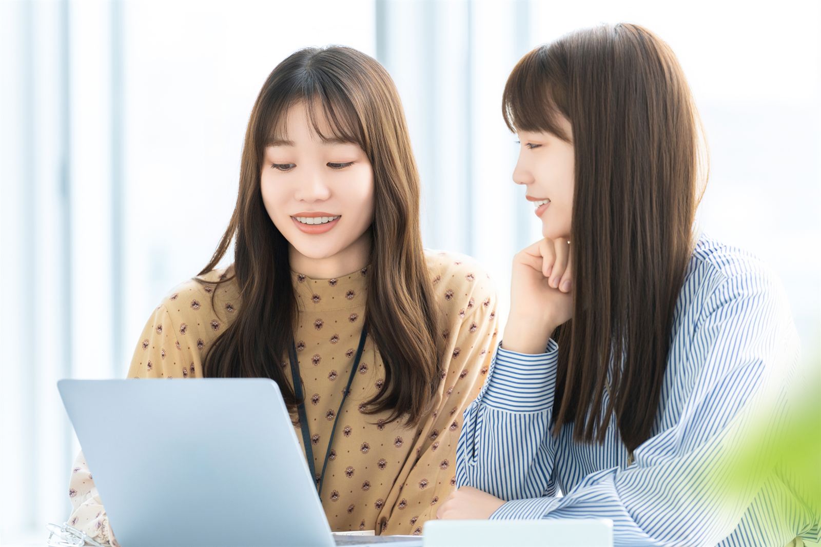 HP・LP制作 / アプリ開発